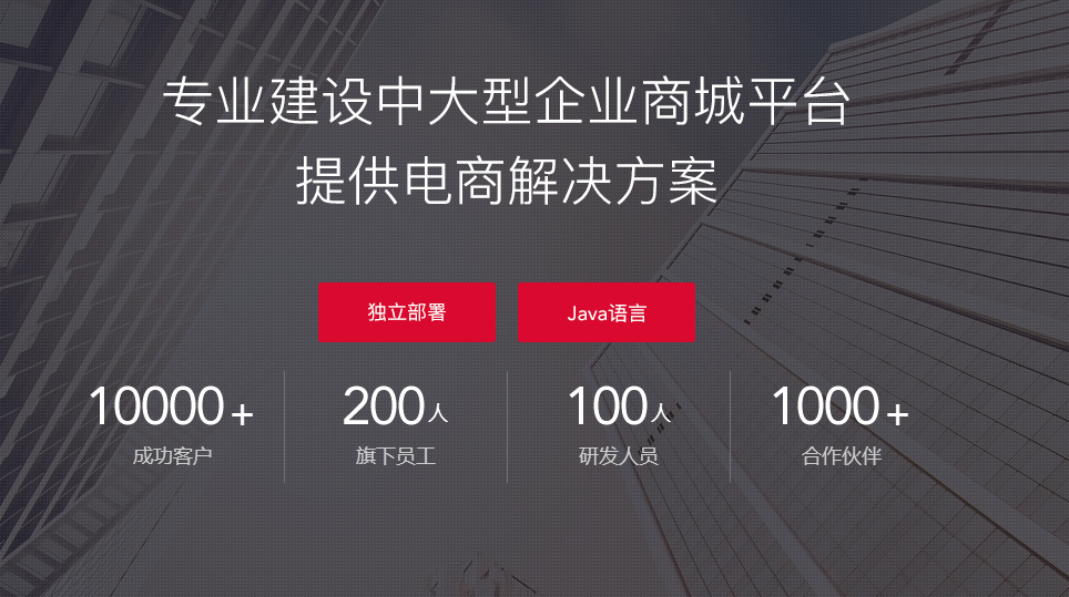 網上商城系統開發 網上商城系統開發